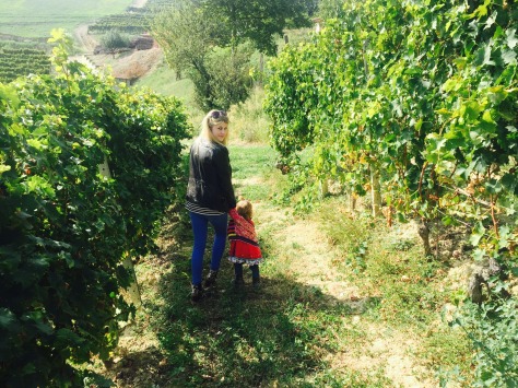 gallery/F12FE2F4-E9CB-442B-9433-D0BDD08DA63D_1_101_a